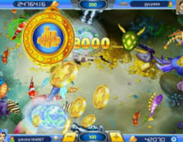 南宫app2024最新版