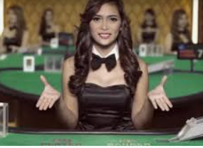 南宫app电脑免费版